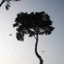 공음농장 이미지