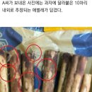 [단독] 롯데 빼빼로서 애벌레 여러 마리…"아이들이 먹다가 발견" (사진있음 주의) 이미지