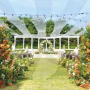 UR(파주시)-[와석순환로]-하-27 | #1. 결혼식장