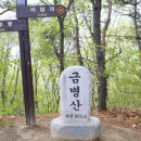 수운교 Daum카페