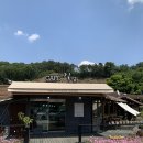 (평택/도일동카페) 빙수와 빵이 맛있는 실외 애견동반 카페 내돈내산 후기 ; cafe길섶