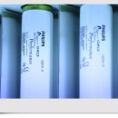 플로라 뷰티라인 이미지