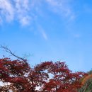 서운산 자연휴양림 자동차야영장 | 서운산 자연휴양림