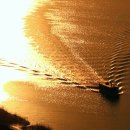 순천만습지 이미지