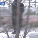 돼지농가