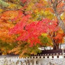 미리내펜션 이미지