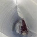 축산물할인매장동행