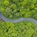 양주예쓰병원 이미지