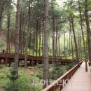 국립자연휴양림관리소(산음자연휴양림) 이미지