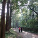 장동 계족산마을 이미지