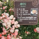 삼문강변로 이미지