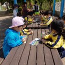 솔빛공원 1 이미지