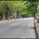 상암로 79길 이미지