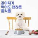 부산애견장례식장 - 강아지가 먹어도 되는 음식들 이미지