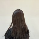 에코라엘 | 대치동미용실 시세이도 클리닉으로 엔젤링 만들기에코쟈뎅 대치테라스점