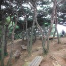 화정천1 이미지