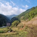 치악산둘레길 10코스 아흔아홉골길 이미지