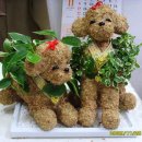 어쩌다가 이미지