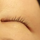 이신호 | 서면 이신호속눈썹 후기