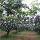 주암민박 이미지