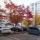 원주현대서비스 이미지