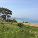 영덕건축사사무소 이미지