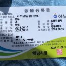 팻존애견