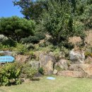 STAY. 보성 이미지