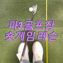 신장유골프연습장 | 5회차 레슨 : 연습장에선 되는데 필드에선 왜 안될까...필드레슨 후기(with 금천구청역 비욘드골프클럽)