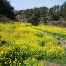 중문관광단지 이미지