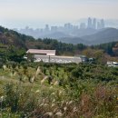 영산대학교(해운대) 이미지