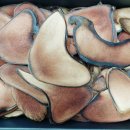 경희수진한의원 이미지