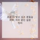 한결강아지미용실 이미지