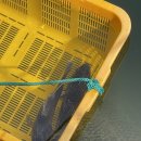 훼밀리호 이미지