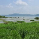 예당호느린호수길 이미지