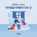 (주)어헤드모바일 | 펫코노미 시대, 떠오르는 반려동물 마케팅