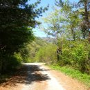 비슬산둘레길 4구간 이미지