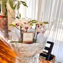 꽃집초이 이미지