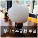 투엠(2M)