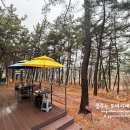 우니메이카 태안점