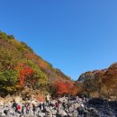 단풍스테이 이미지