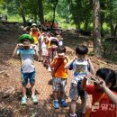 양평 유아숲체험원 이미지
