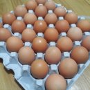 노룬산슈퍼마켓 이미지