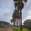 강창학공원 이미지