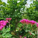 우석농장 이미지