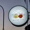 디바인독(DIVINE DOG) 이미지
