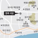 영쿡식당 이미지