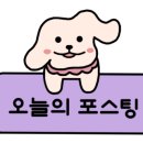 바이케이션 이미지