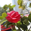 평거동4 이미지