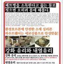 아이디어플러스 이미지